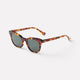 Dylan XS - Tortoise Polished / Green