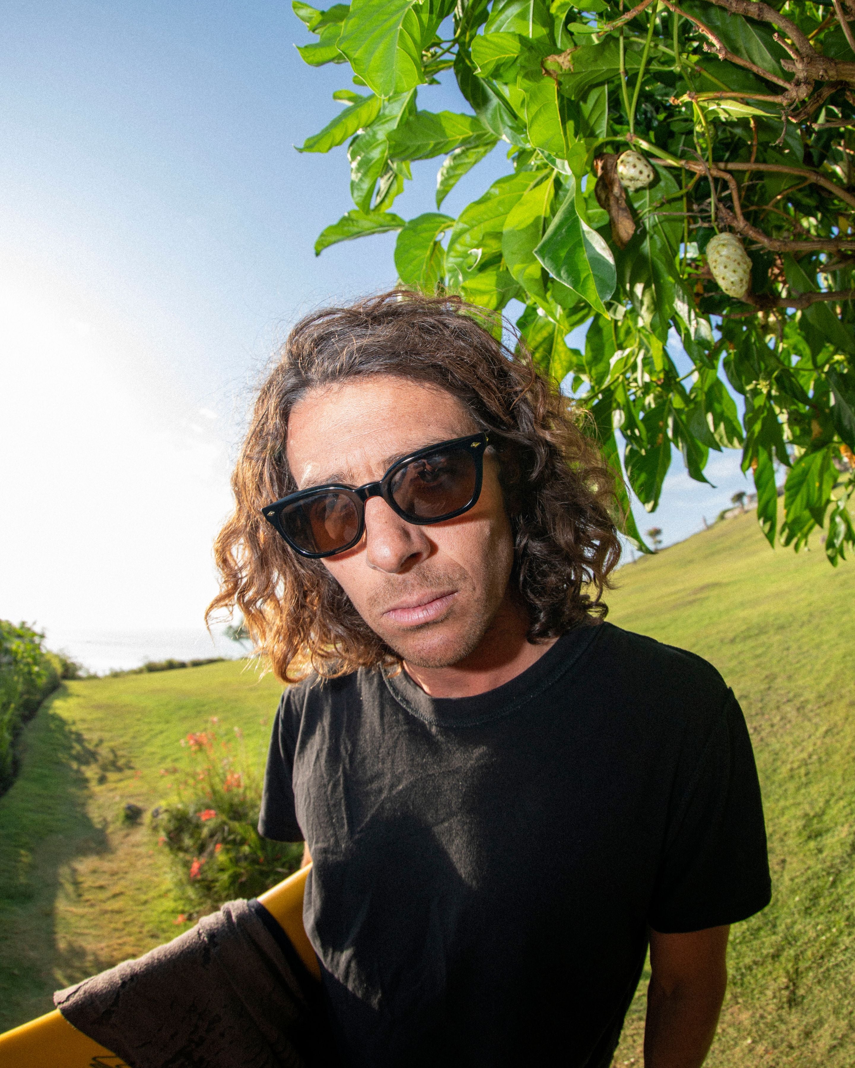 Ceremony - Black Polished / Bronze Polarized