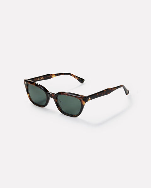 ceremony-tortoise-polished-
